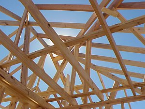 Looking upward, a view of the roof structure.