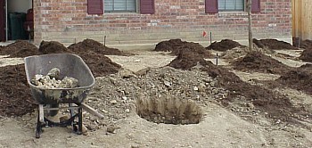 The next step in this landscape was to plant trees in the front yard and to spread mulch over the land.