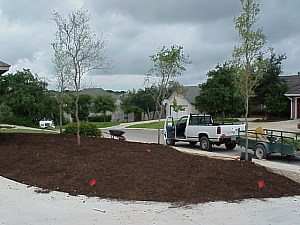 The pieces of sod are laid next to each other to cover the area.