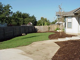 This picture of the back yard shows the grass and tree that have been planted.