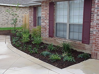 The last part of the first stage of the landscape implementation was to put plants in the beds in front of the house.