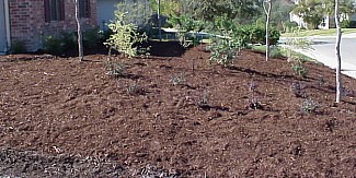 The front yard is covered with mulch.