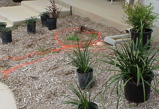 The orange paint above shows where a rock will be placed in the landscape and also a drainage path that will be filled with river rock.