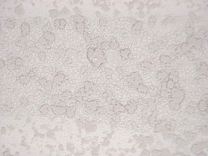 This picture shows a close-up of the texture on the wall.